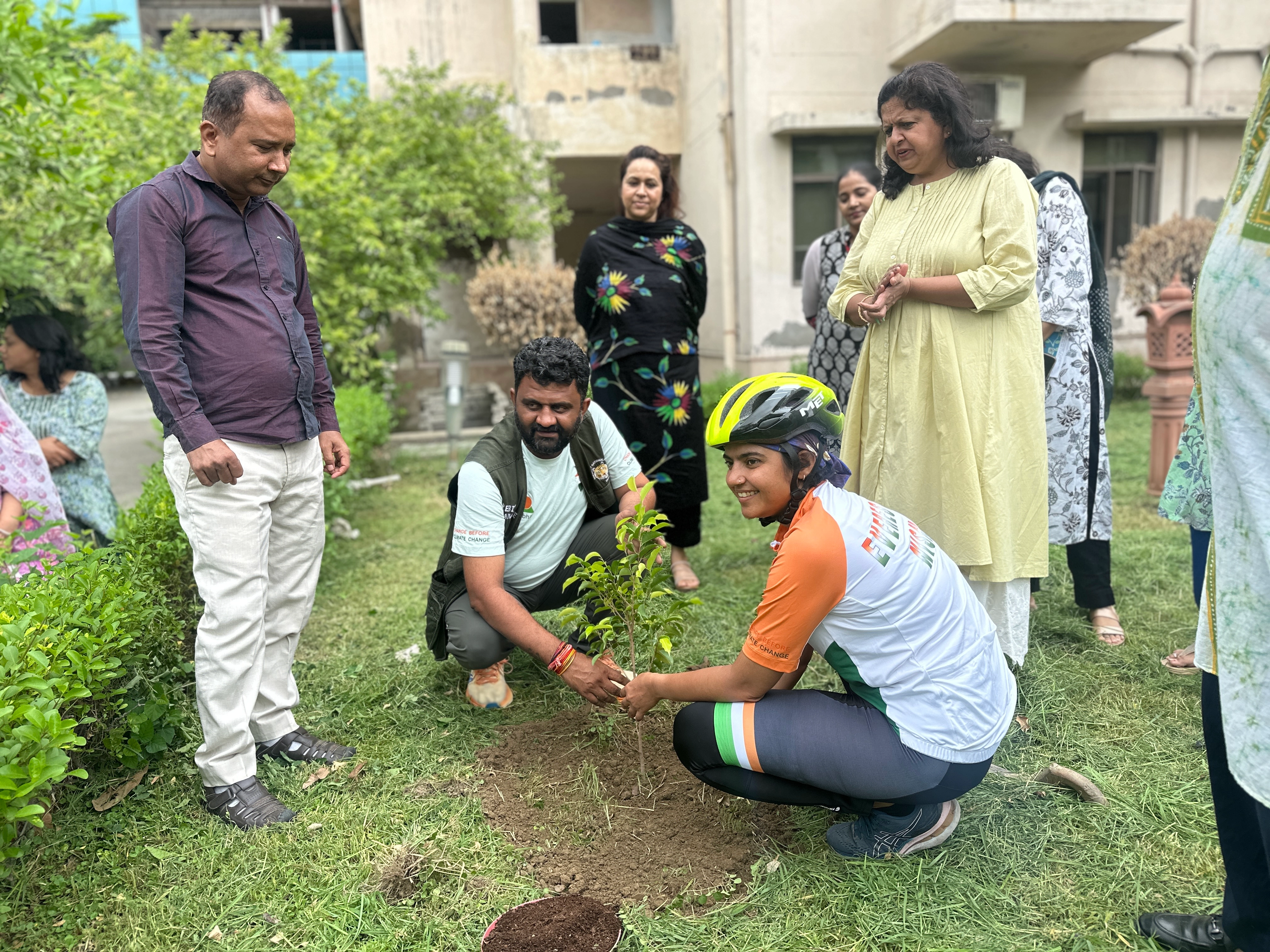 Tree Plantation